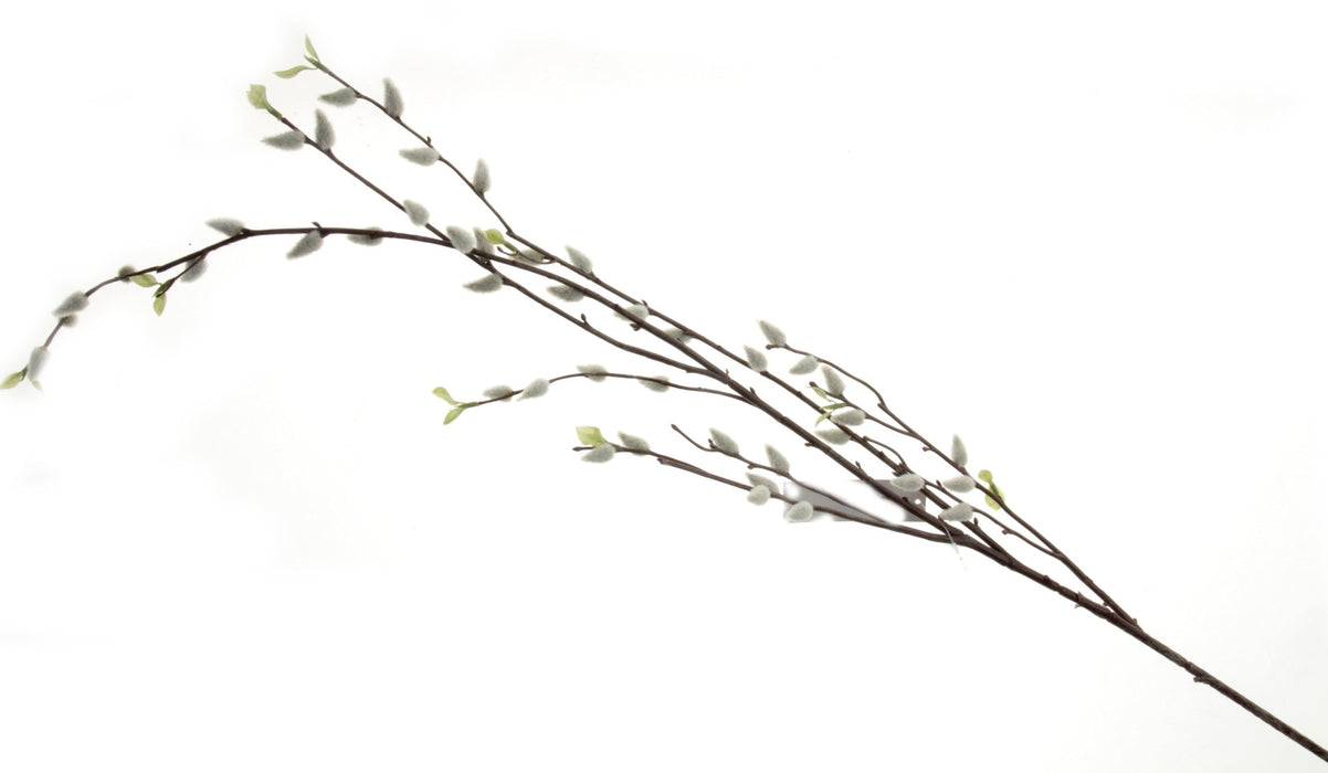 Pussy Willow Spray - Natural (135cm long)