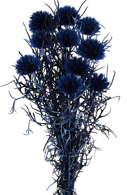 Preserved Echinops - Blue (10 pieces per pk)