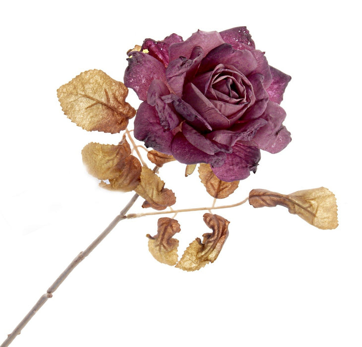 Single Rosa Autumn Rose - Purple (62cm long)