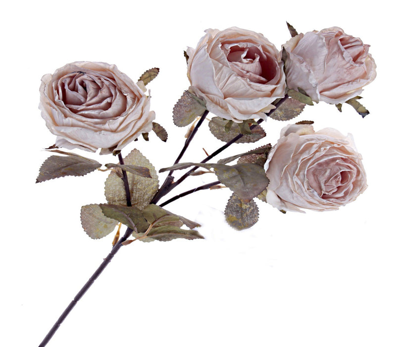 Dry Rose Spray - Cream (4 heads, 54cm long)