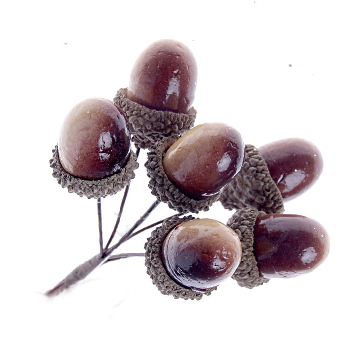 12cm Acorn Bundle - Cream/Brown (6 bundles with 6 acorns per pk)