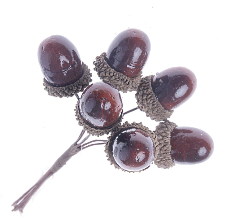 12cm Acorn Bundle - Brown (6 bundles with 6 acorns per pk)