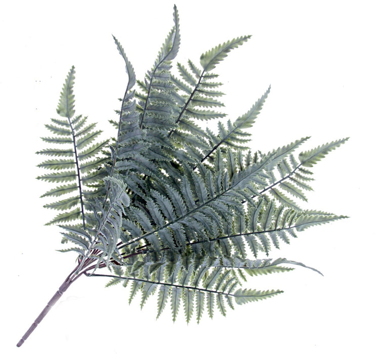 Frosty Leather Fern — зеленый/серый (длина 47 см)